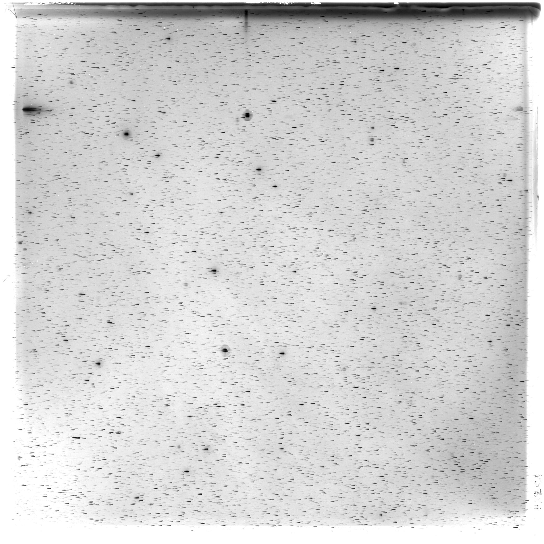 Scan HS03251