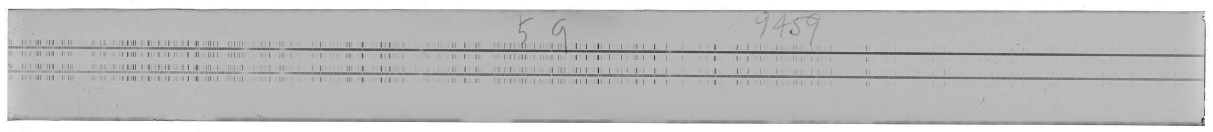 Scan MWP9459