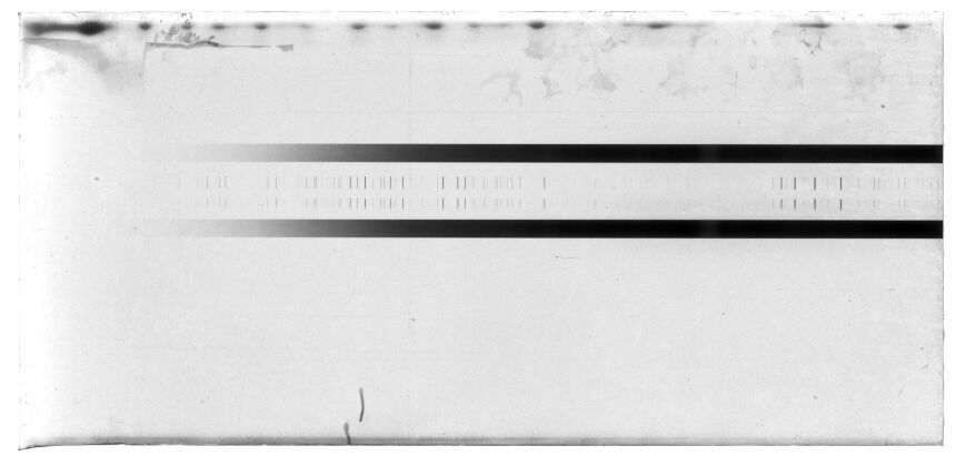 Scan MW21531C