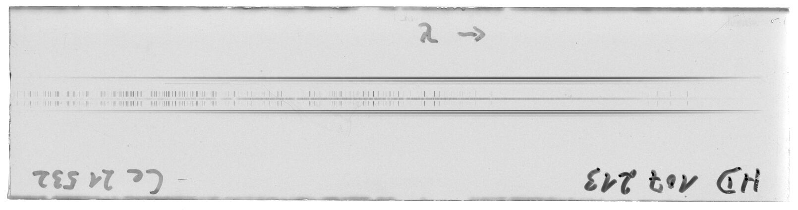 Scan MW21532