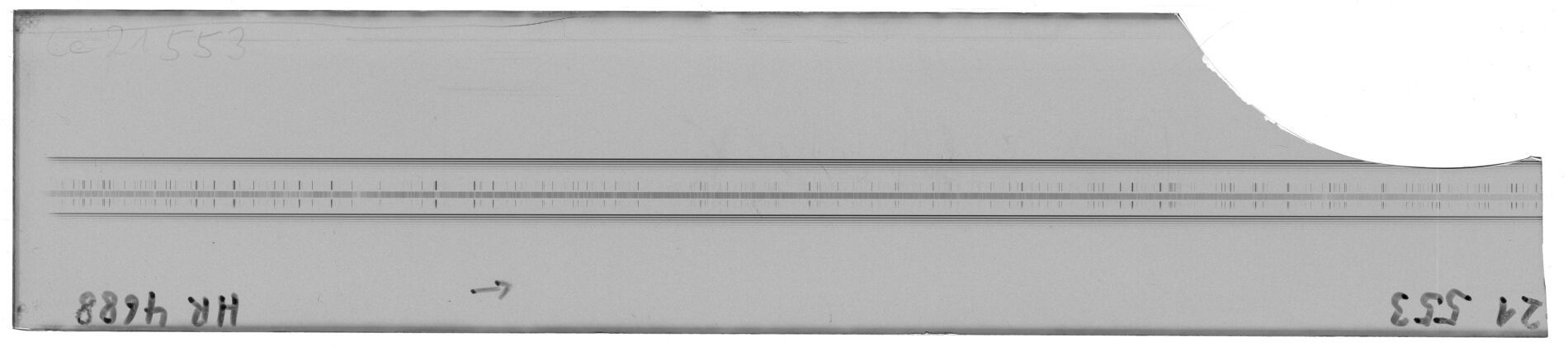 Scan MW21553