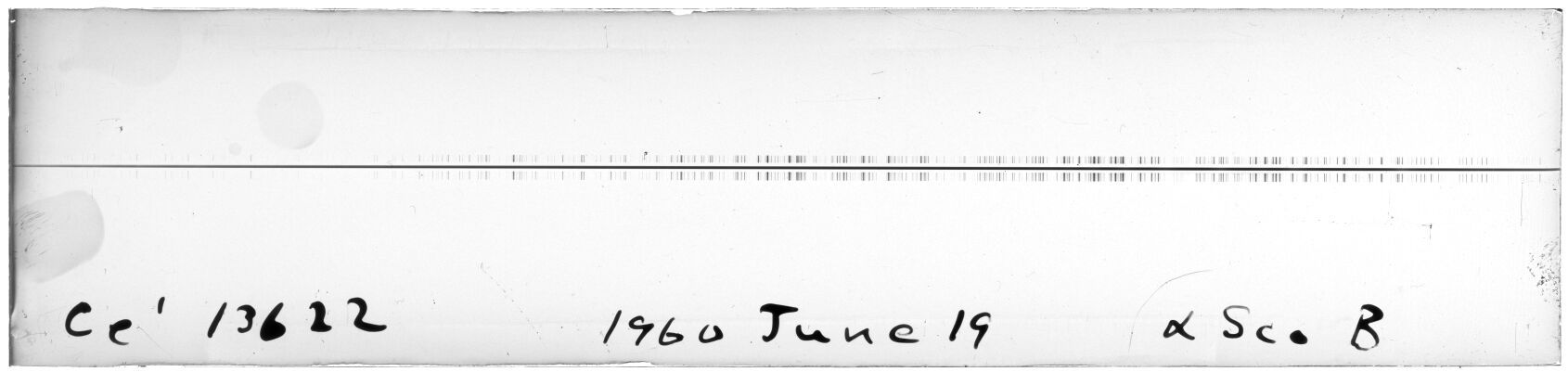 Scan MW13622