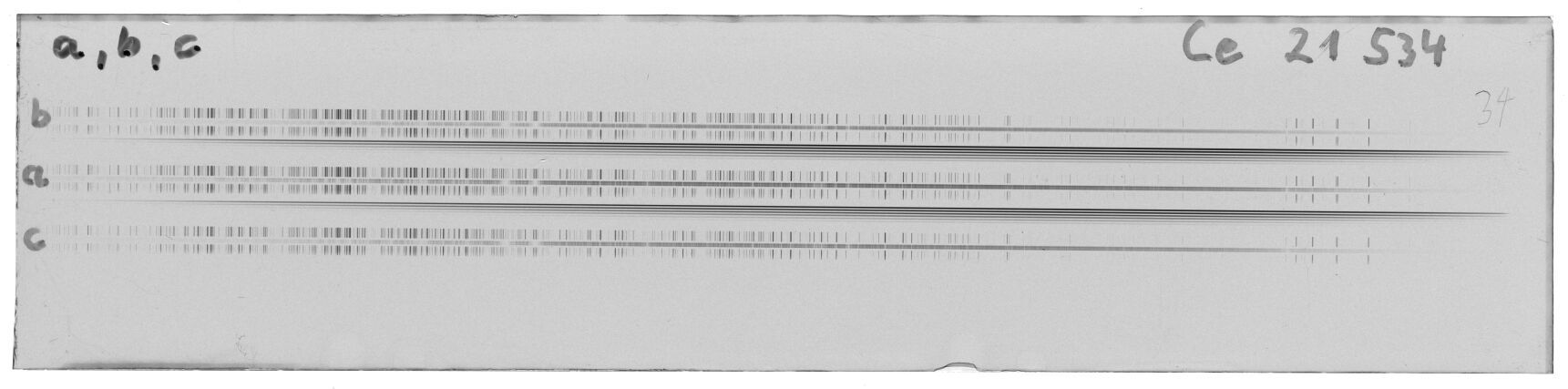Scan MW21534
