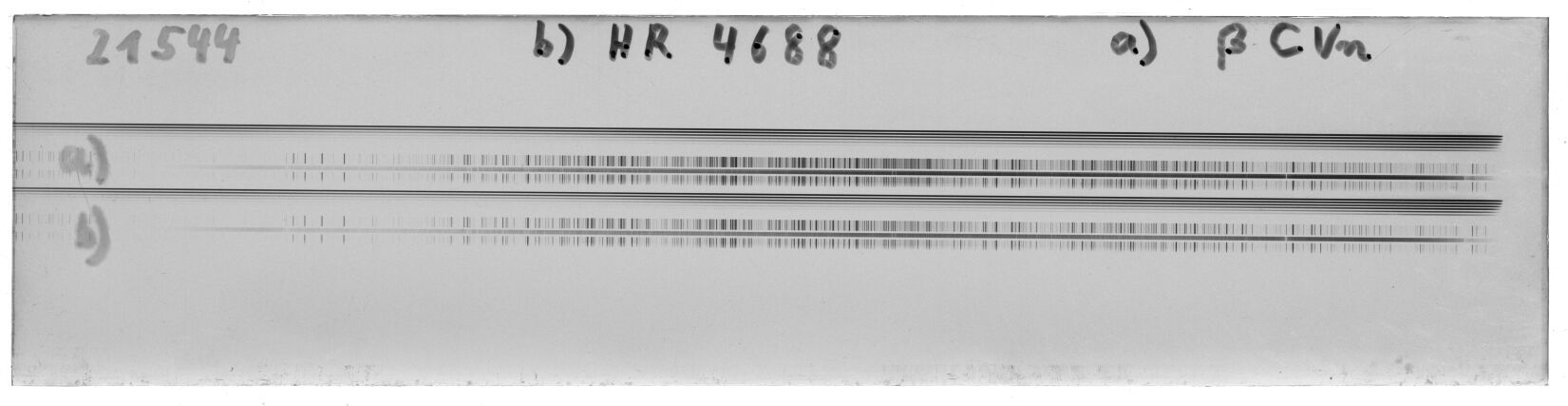 Scan MW21544