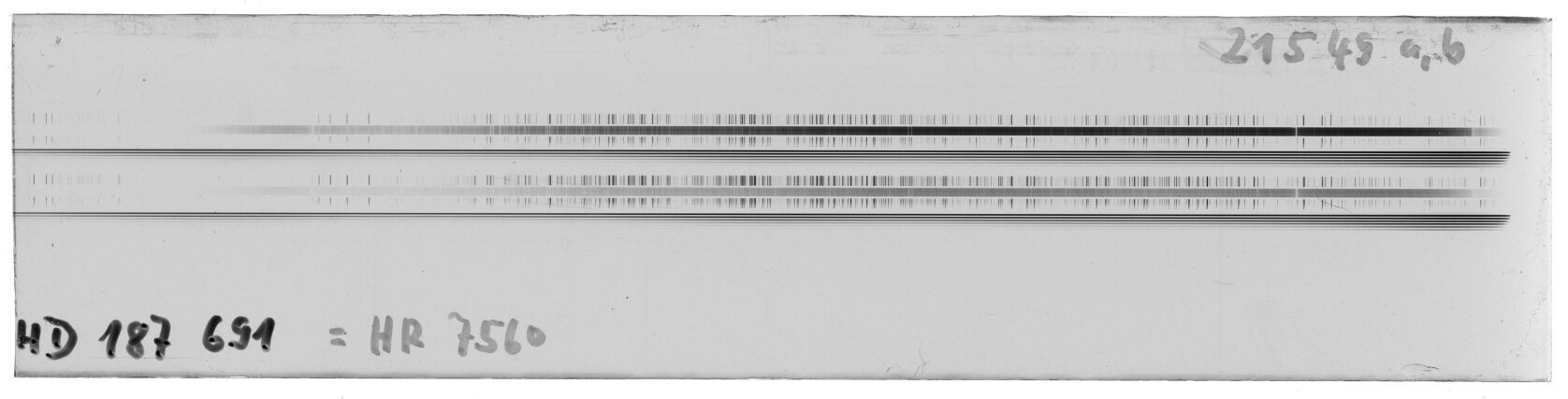 Scan MW21549