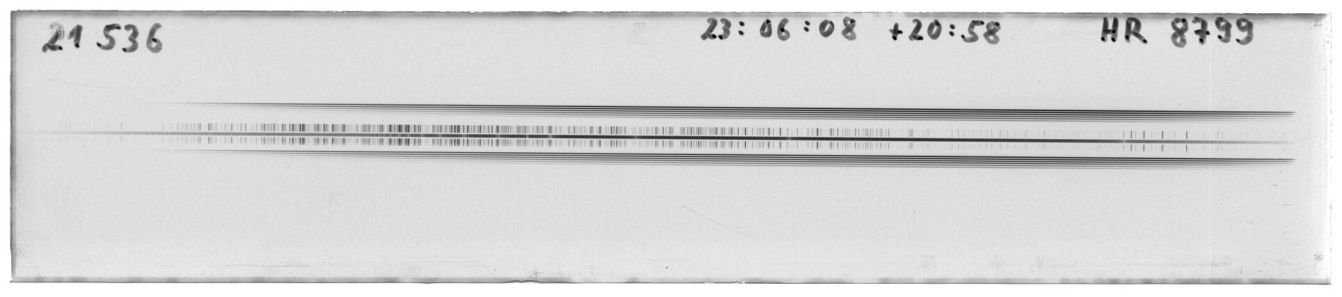 Scan MW21536