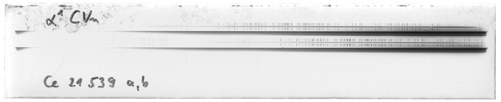 Scan MW21539