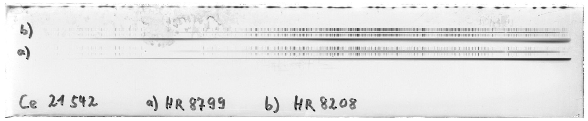 Scan MW21542
