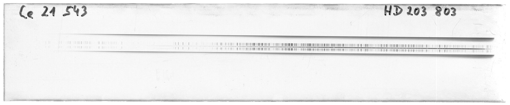 Scan MW21543