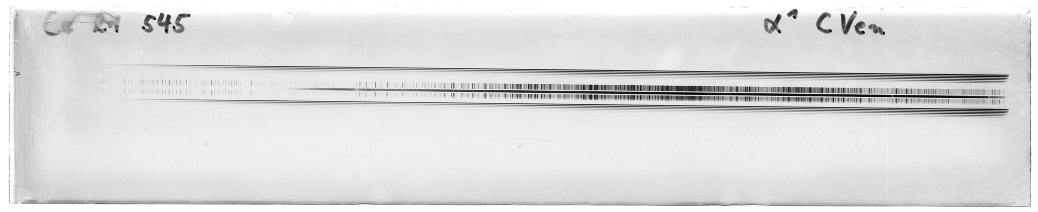 Scan MW21545