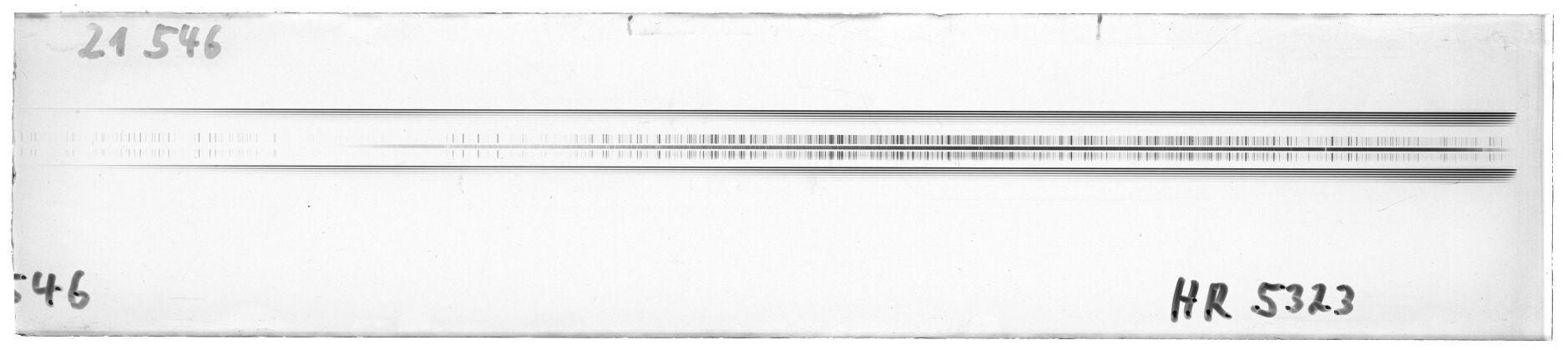 Scan MW21546