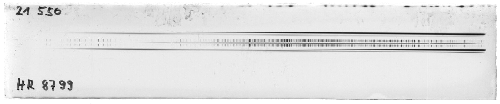 Scan MW21550