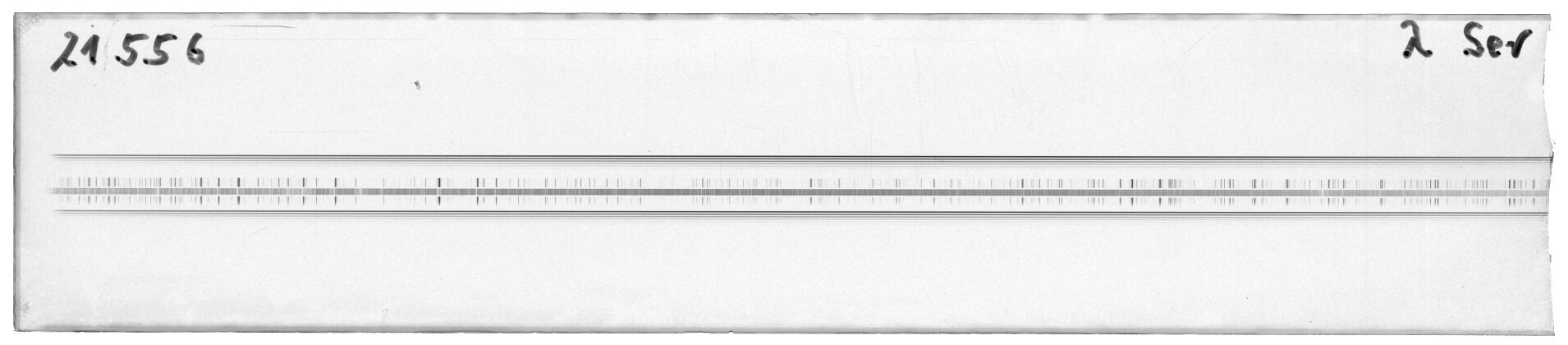 Scan MW21556