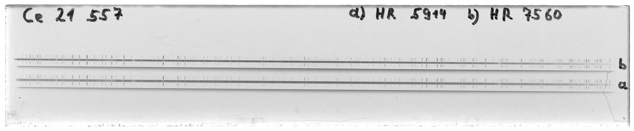 Scan MW21557