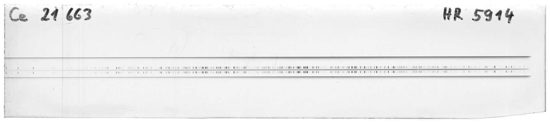 Scan MW21663