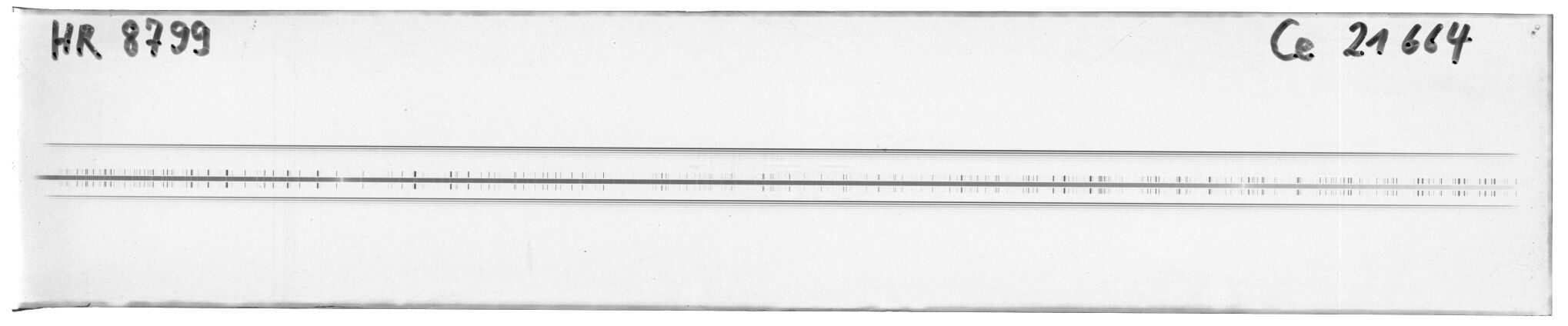 Scan MW21664