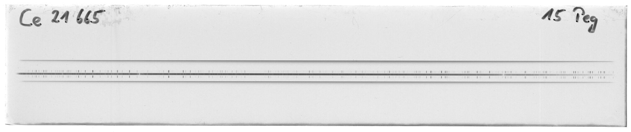 Scan MW21665