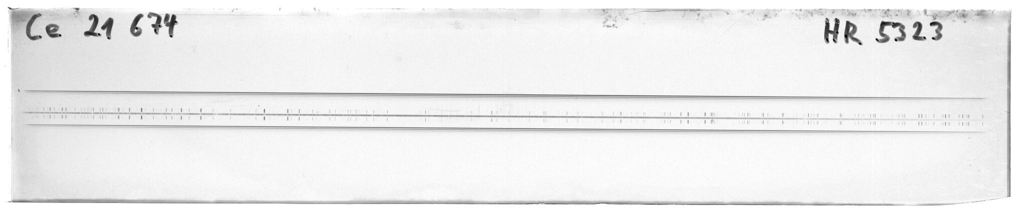 Scan MW21674