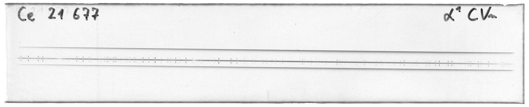 Scan MW21677