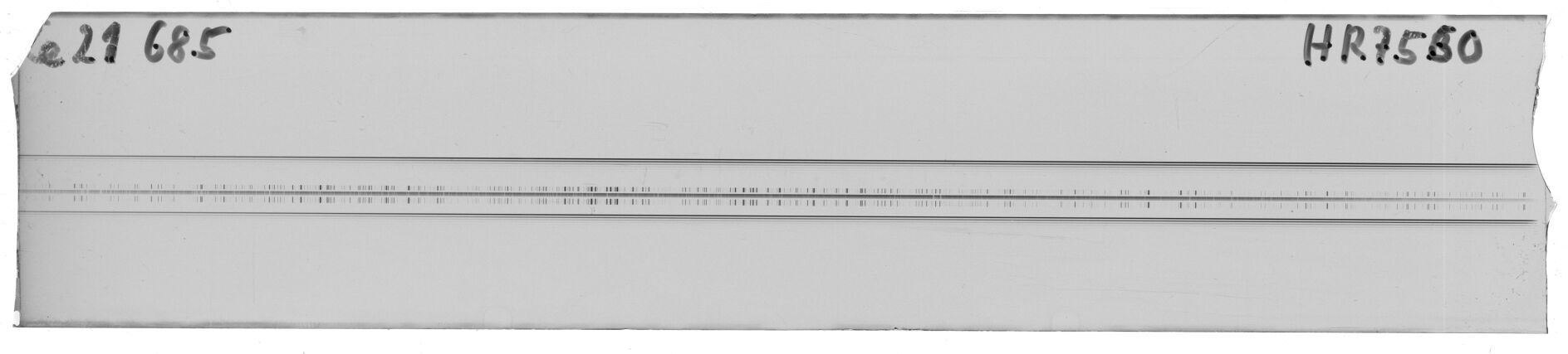 Scan MW21685