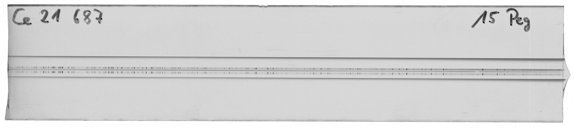 Scan MW21687