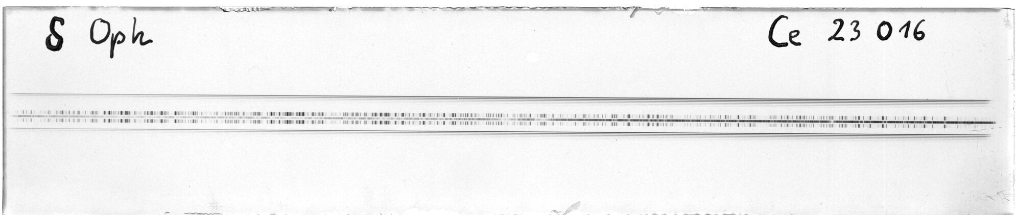 Scan MW23016