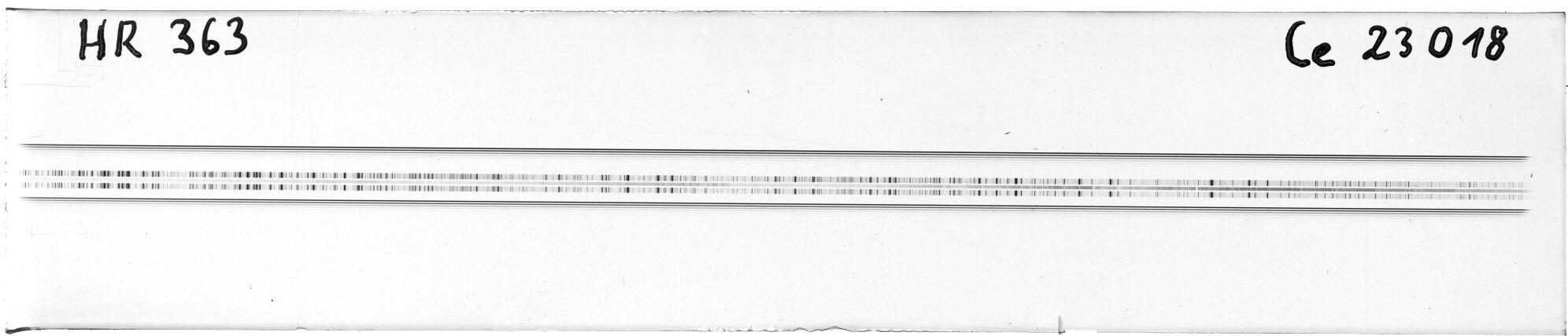 Scan MW23018