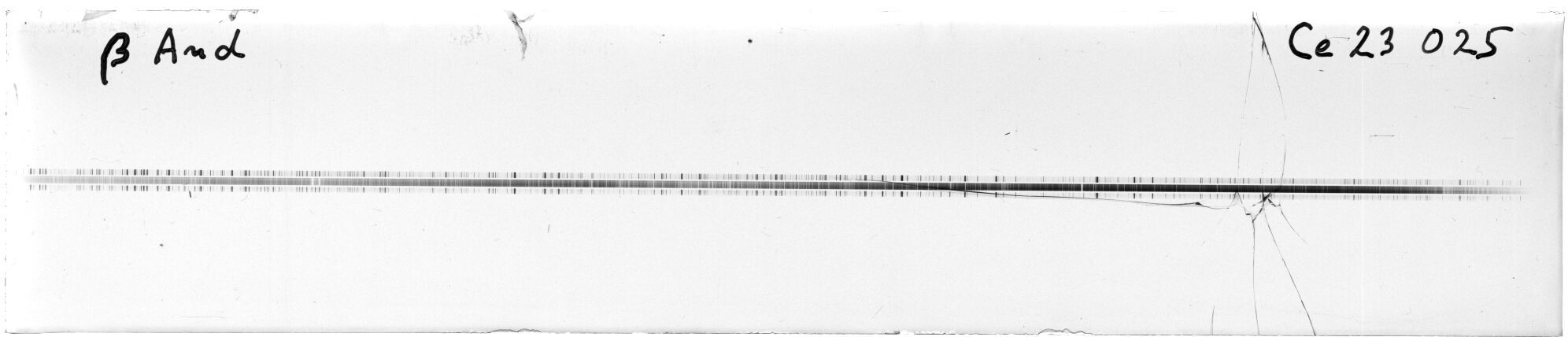 Scan MW23025