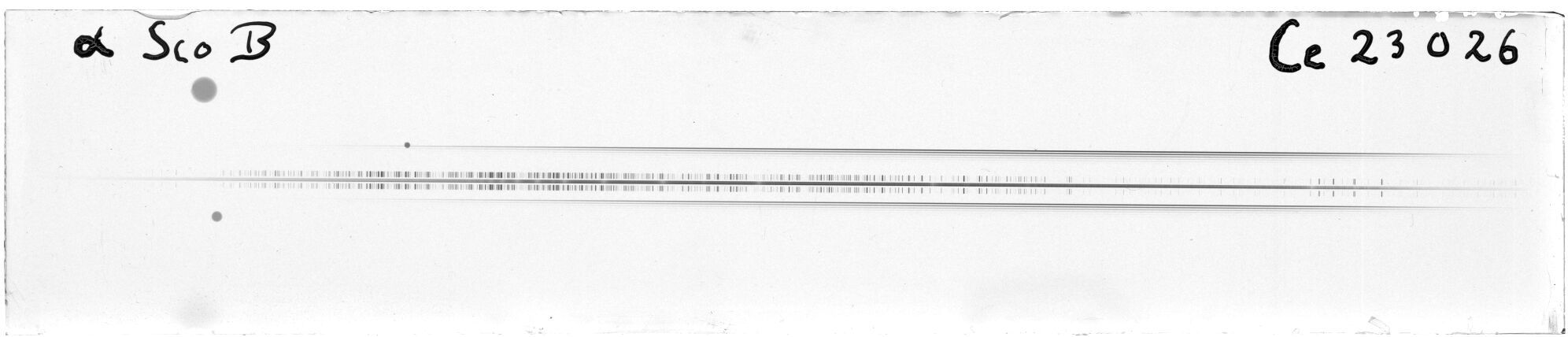 Scan MW23026