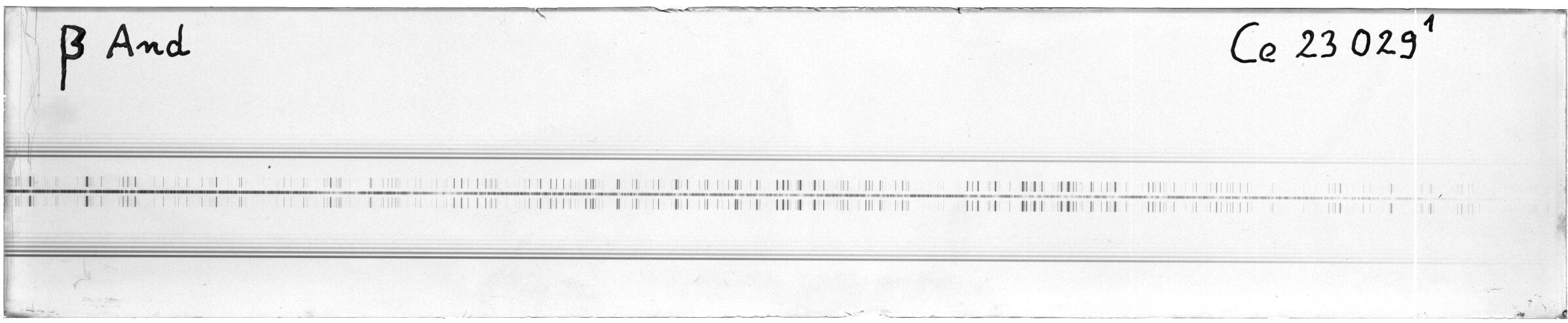 Scan MW23029