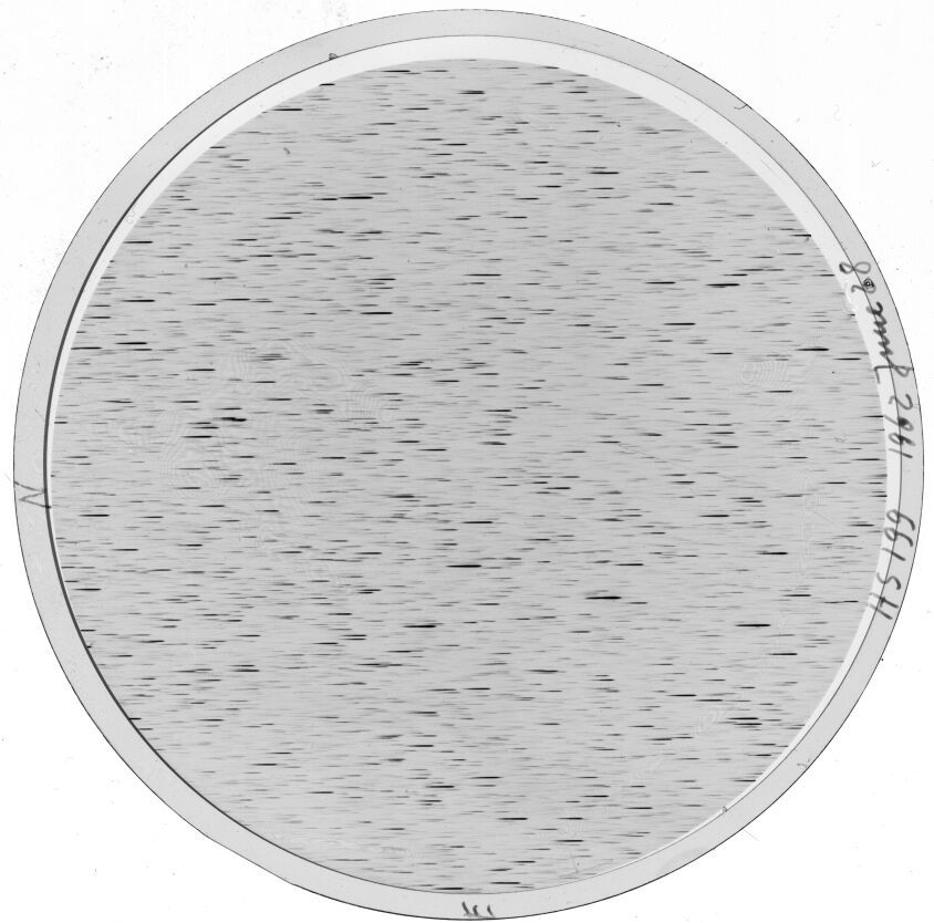 Scan KSB0199
