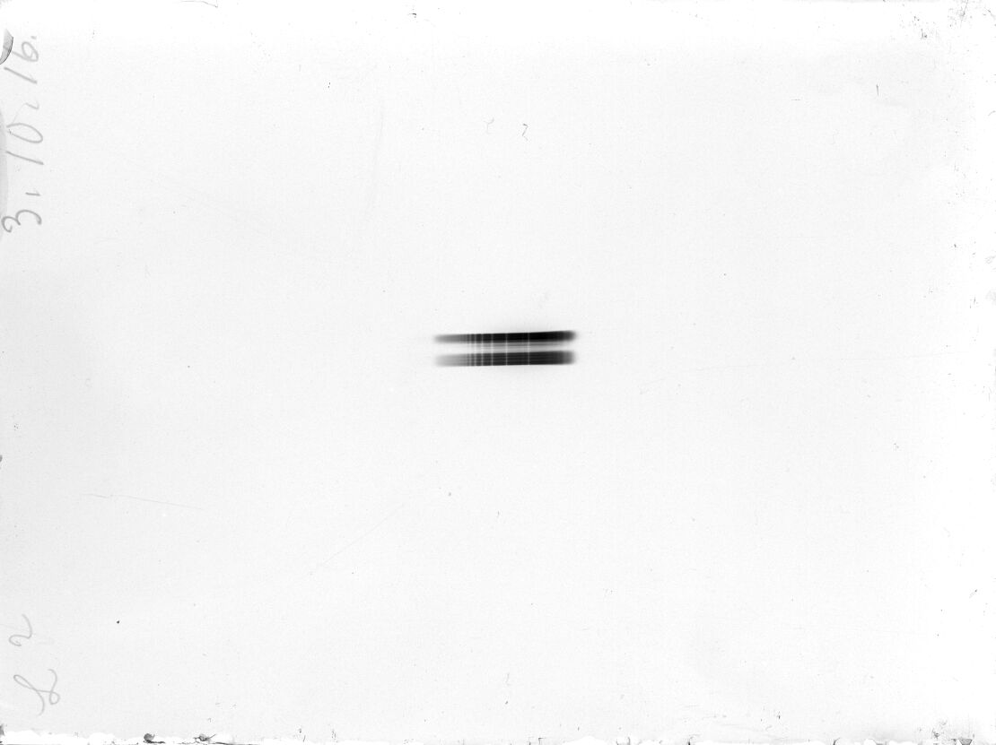 Scan LA00496