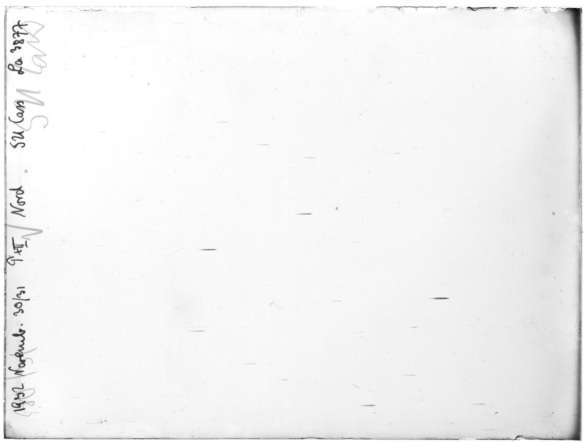 Scan LA03877
