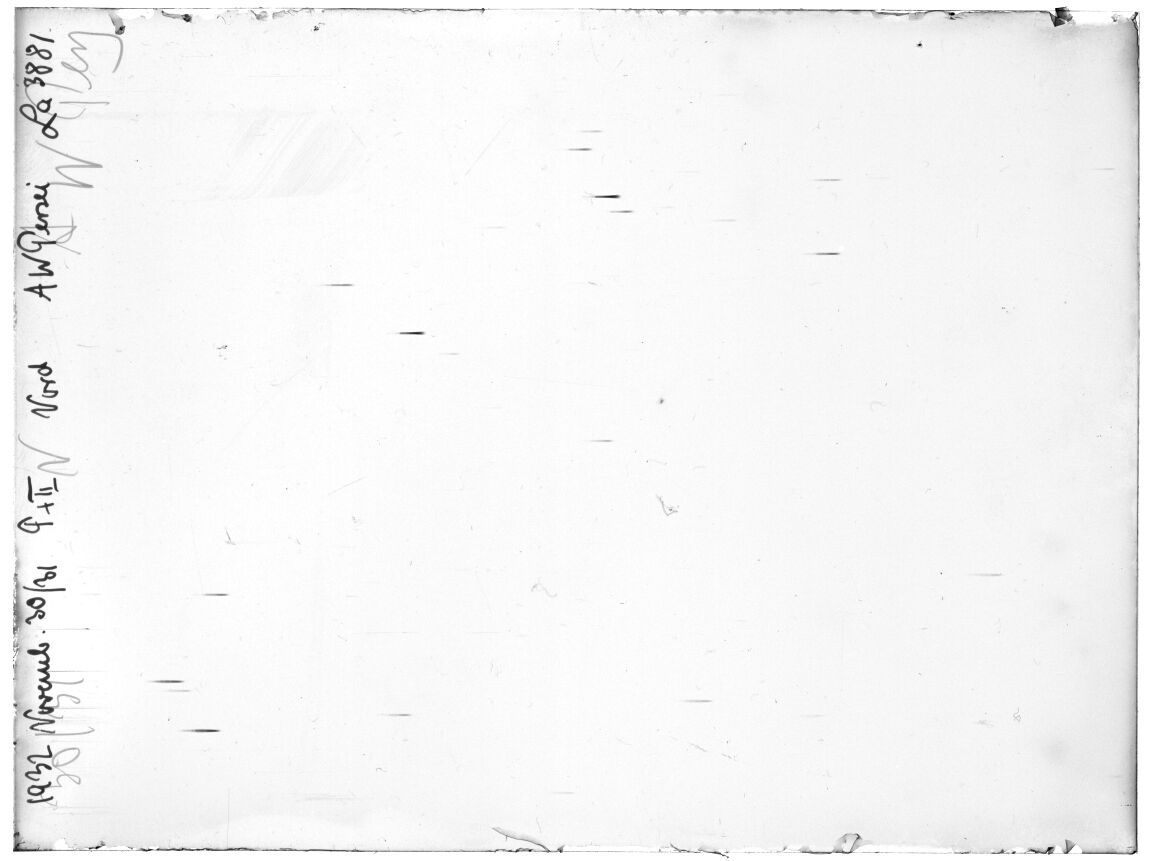 Scan LA03881