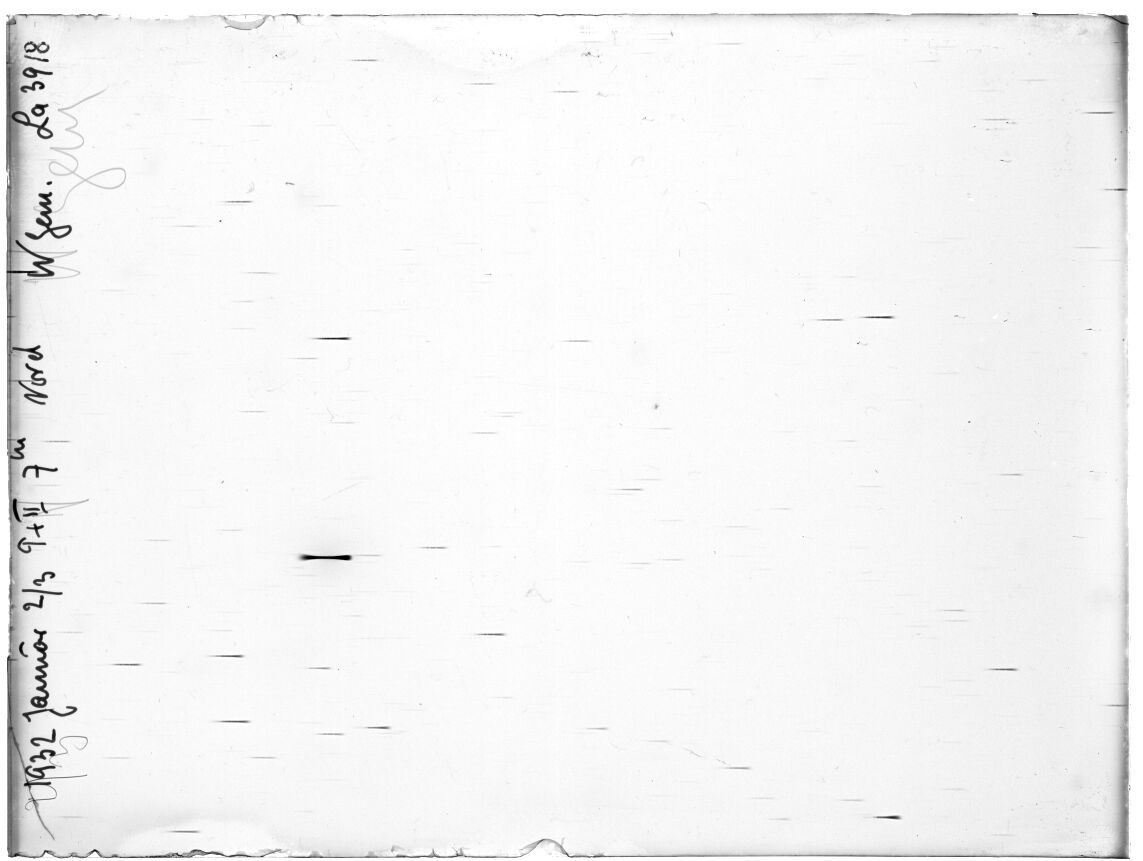 Scan LA03918
