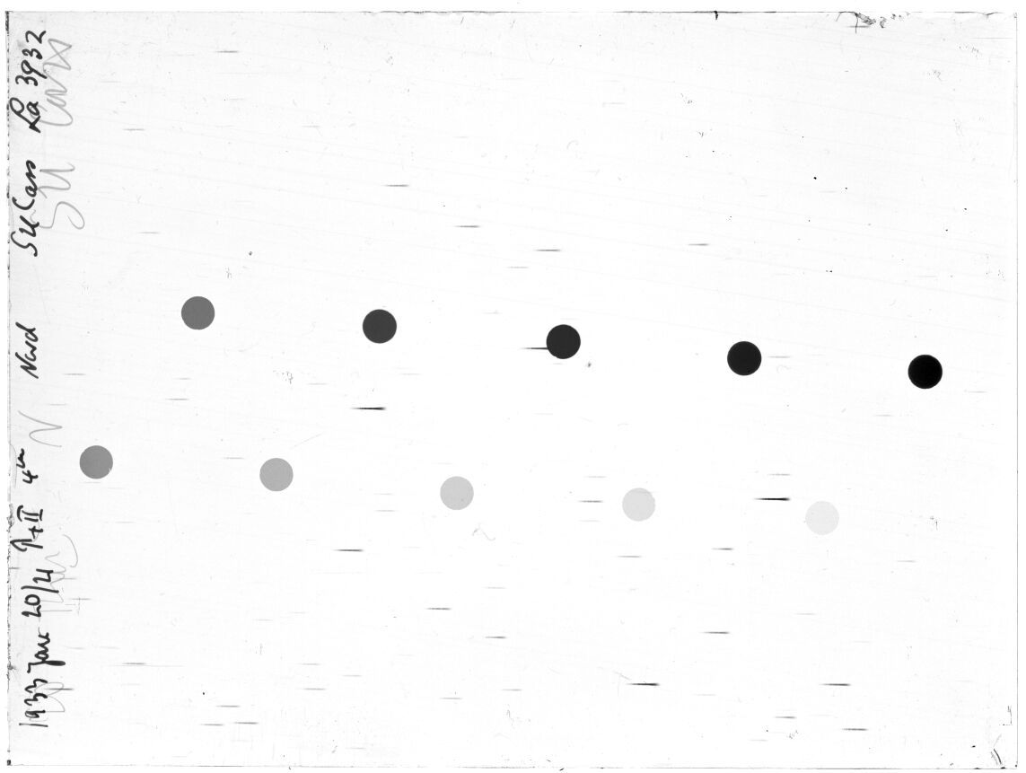 Scan LA03932