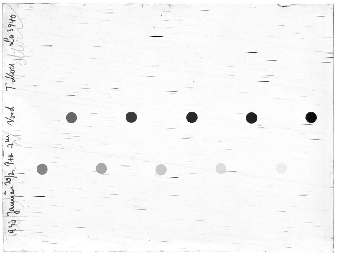 Scan LA03940