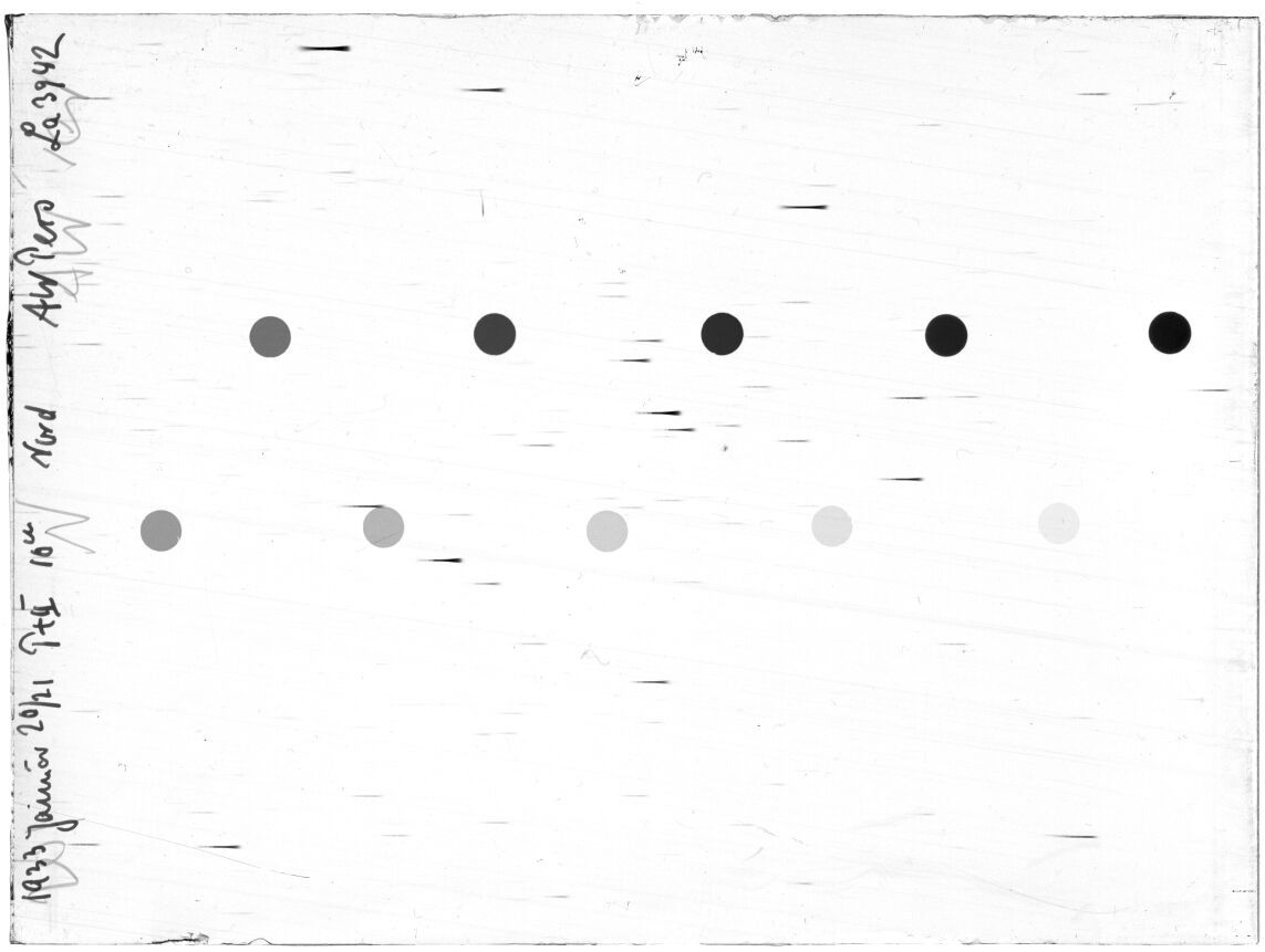 Scan LA03942