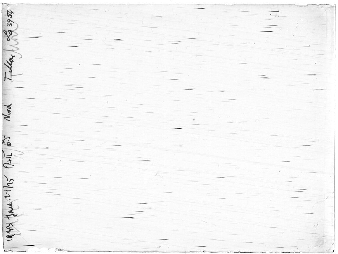 Scan LA03954