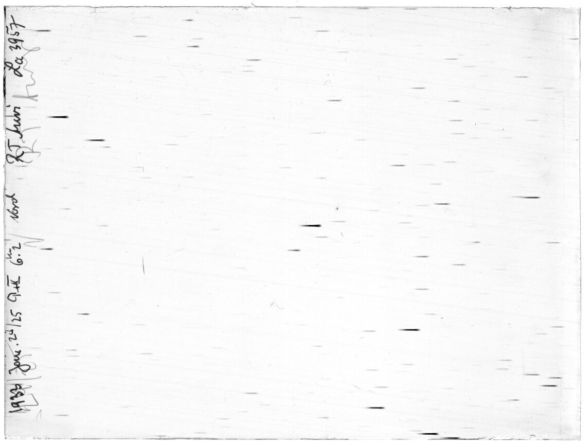 Scan LA03957