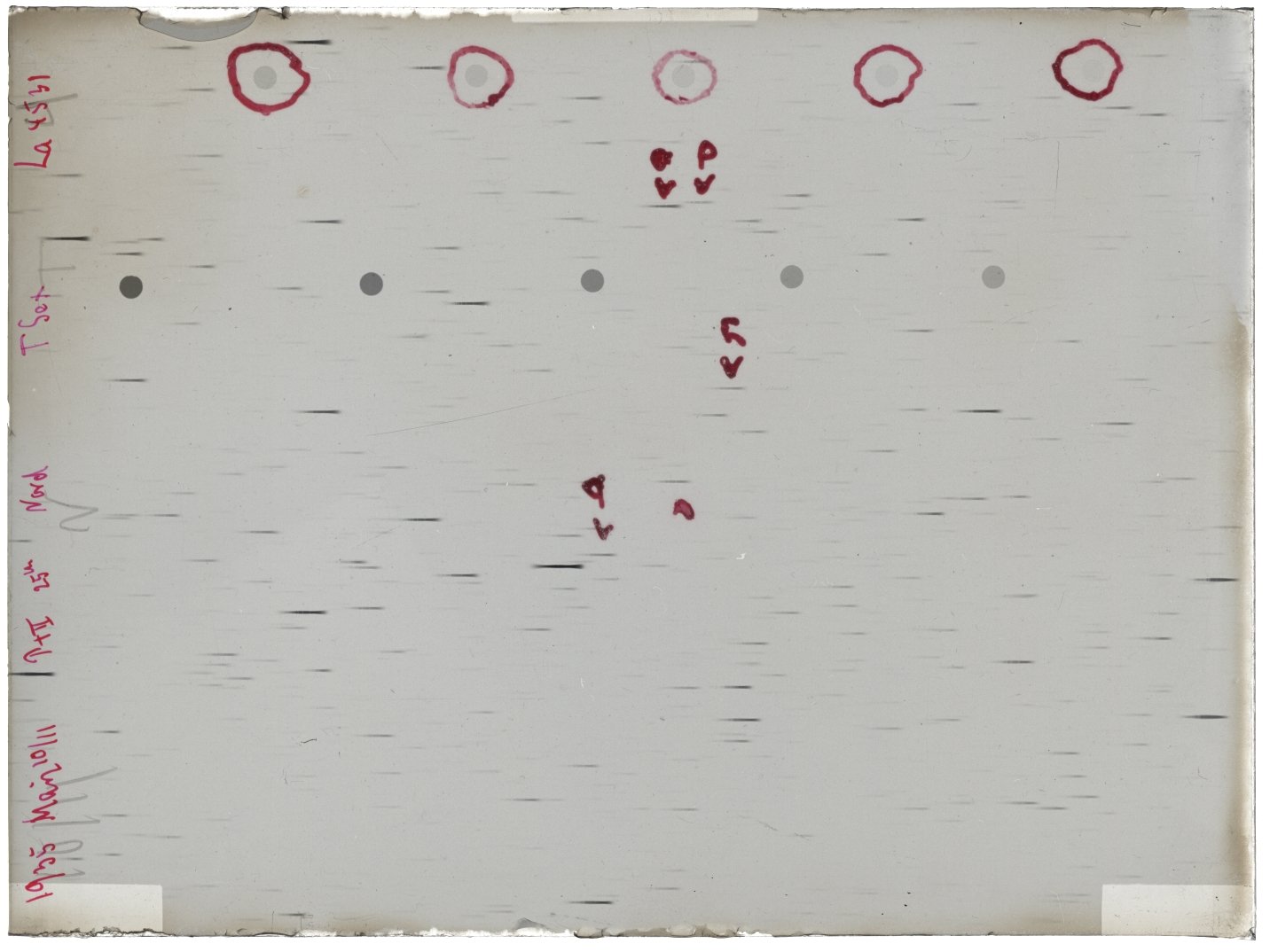 Scan LA04531