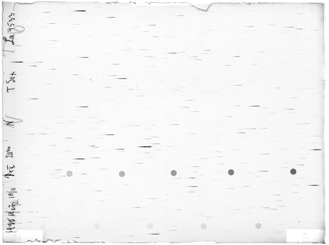 Scan LA04533