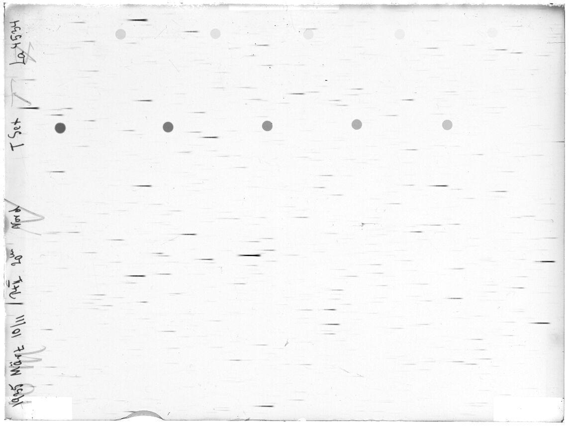 Scan LA04534