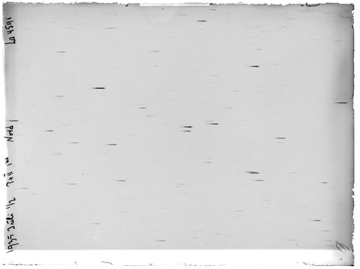 Scan LA04591