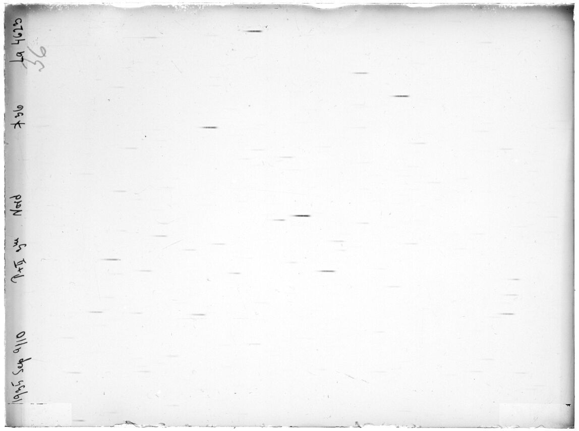 Scan LA04623