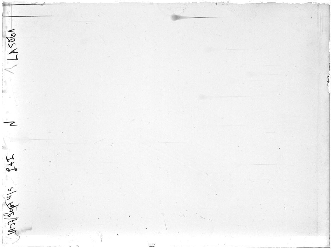 Scan LA05061