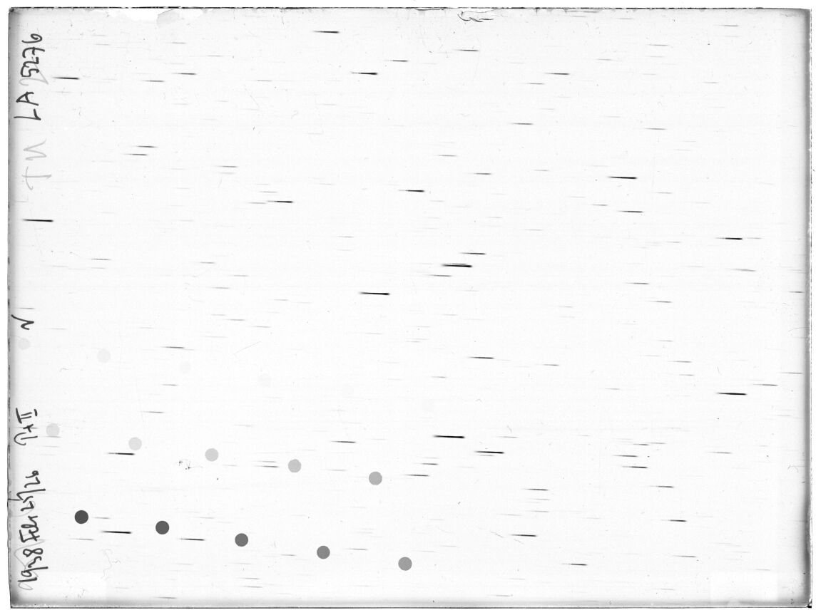 Scan LA05276
