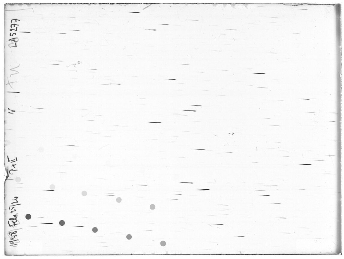 Scan LA05277