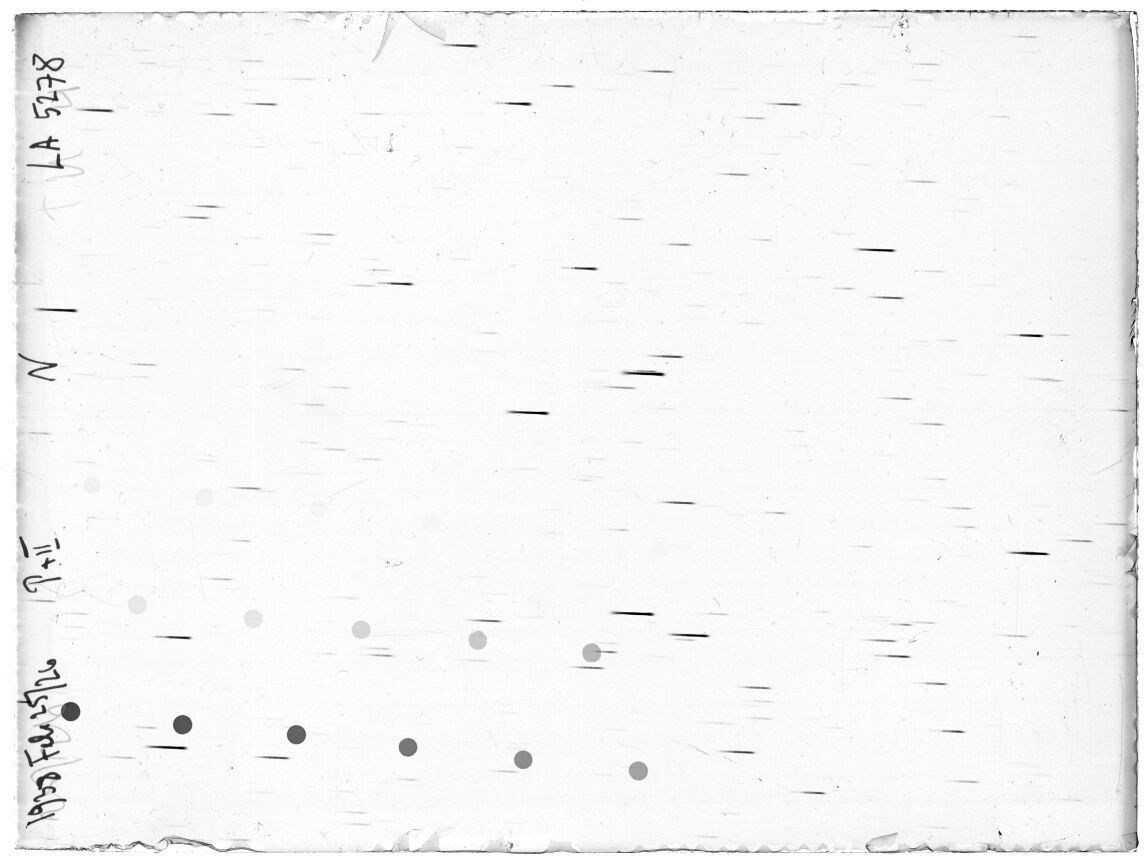 Scan LA05278