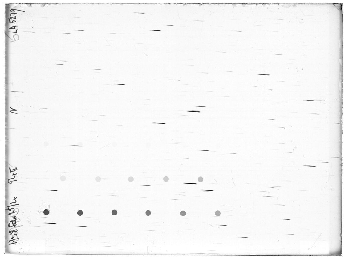 Scan LA05279
